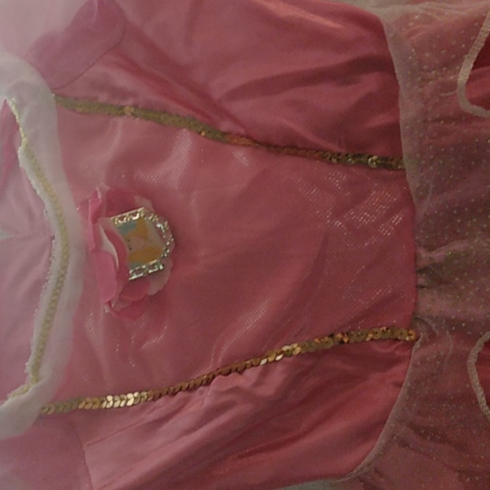 Sleeping Beauty Disney Aurora costume